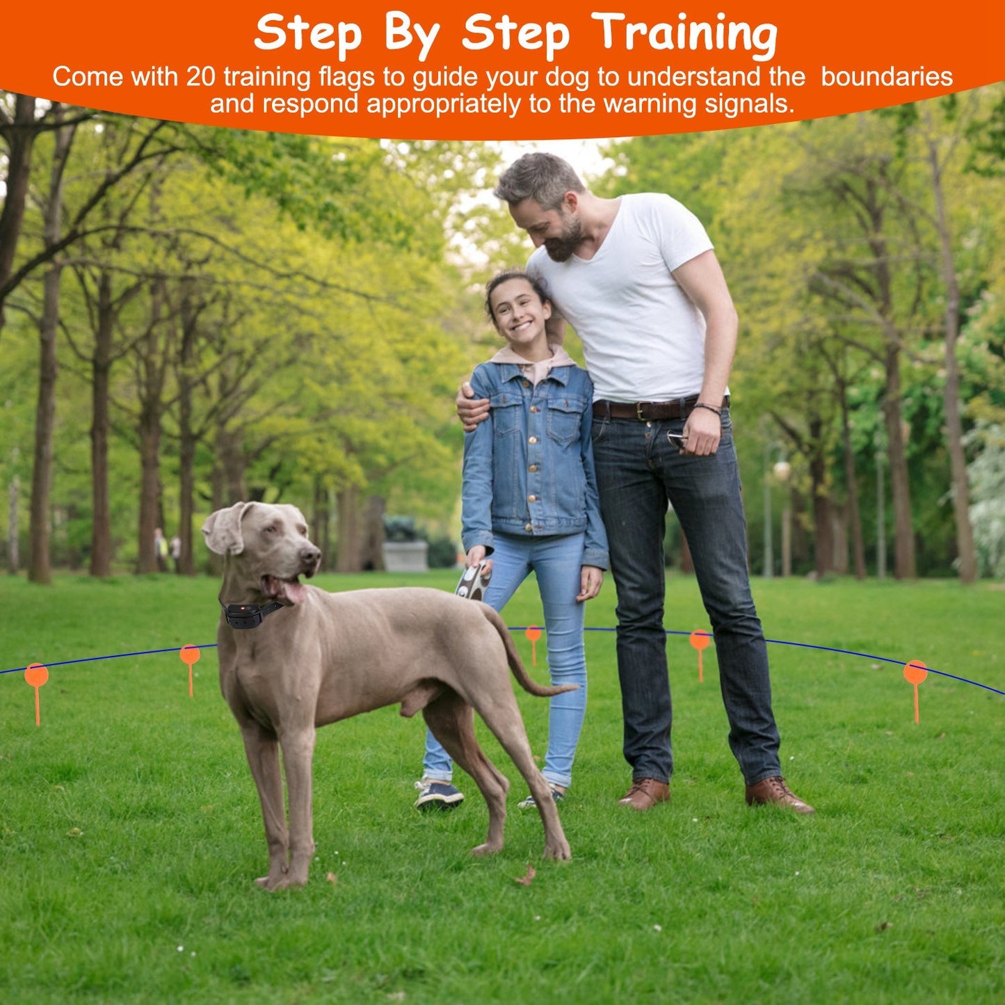 Set Dog Fence System Pet Containment System With One Hundred Adjustable Levels IPX7 Waterproof Rechargeable Receiver Underground Fence For Small Medium Large Dog